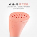 飞利浦（PHILIPS）蒸汽挂烫机家用手持/挂式电熨斗三档1500W熨衣带衣架GC507/98烫衣服