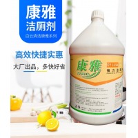 康雅KY115A强力洁厕剂大桶装去污除垢马桶厕所洁厕液洁厕灵