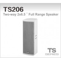 TDS-TS206 全音域音箱