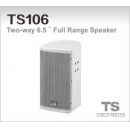 TDS-TS106 全音域音箱