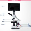 奥斯微（AOSVI）生物显微镜血液检测仪 螨虫仪高清观察畜牧观察 教学科研医学养殖观察 1600倍 螨虫检测仪