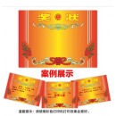 奖状纸 16K/加厚个人表扬表彰奖状证书鼓励表扬信