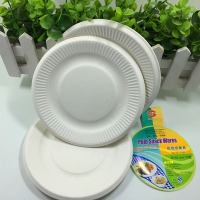 白色纸盘制作diy手工材料一次性彩色纸盘子幼儿园装饰纸碟蛋糕盘画画