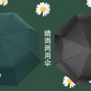 新款全自动晴雨伞遮阳伞潮流小雏菊折叠冰柠黑胶小菊花雨伞蜜芽两用