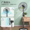 TCL TFS16RD 电风扇/落地扇/家用低音风扇/五叶大风量风扇定时遥控