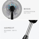 TCL TFS16RD 电风扇/落地扇/家用低音风扇/五叶大风量风扇定时遥控