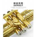 小号乐器 铜管降B调小号 黄铜 三音小号 初学娱乐