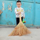 扫把纯手工红高粱麦穗做的小扫把单位学校加厚扫地扫帚苗