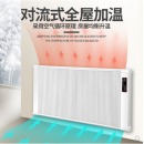 碳纤维取暖器电暖气片家用节能省电大面积卧室速热壁挂式浴室防水