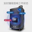 先科广场舞户外音响K歌便携拉杆蓝牙音箱大功率低音炮