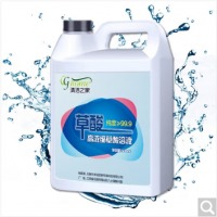 麦格丽（MEGALITHE）草酸清洁剂 强力瓷砖地面地板砖清洗剂除水泥外墙除垢草酸溶液厕所马桶油污垢洁厕液