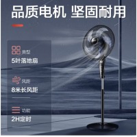 艾美特(Airmate) 五叶家用电风扇大风量摇头落地扇轻音节能轻音定时风扇立式风扇 FSW65T2-5