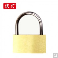 伏兴 FX201 铜挂锁铁锁 迷你箱包锁防水防锈家用锁具 宿舍小挂锁柜门锁 防盗窗锁头 30mm铜挂锁