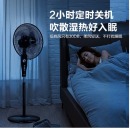 艾美特(Airmate) 五叶家用电风扇大风量摇头落地扇轻音节能轻音定时风扇立式风扇 FSW65T2-5