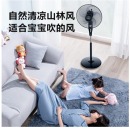 艾美特(Airmate) 五叶家用电风扇大风量摇头落地扇轻音节能轻音定时风扇立式风扇 FSW65T2-5
