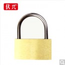 伏兴 FX201 铜挂锁铁锁 迷你箱包锁防水防锈家用锁具 宿舍小挂锁柜门锁 防盗窗锁头 30mm铜挂锁