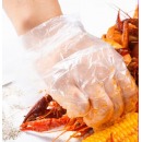 安美尚 ams A5601一次性手套食品级 PE材质加厚防漏卫生手套 美容美发加工食品多用 常规