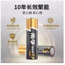 南孚 (NANFU)碱性电池7号24节