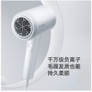 飞科 FLYCO 电吹风机 柔风负离子恒温护发 家用冷热大风量快速干发吹风筒FH6290 1800W