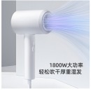 飞科 FLYCO 电吹风机 柔风负离子恒温护发 家用冷热大风量快速干发吹风筒FH6290 1800W