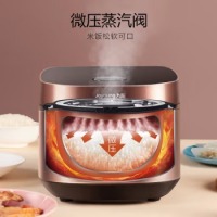 九阳（Joyoung）肖战推荐电饭煲电饭锅4L大火力柴火饭智能预约多功能焖煮防溢家用电饭煲F-40FZ815