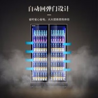 澳柯玛（AUCMA) 风冷无霜商用冷藏展示柜 立式饮料柜超市啤酒柜 水果鲜花单门冷饮冰柜保鲜柜 大双门全面屏高端风冷（1120*600*1980）
