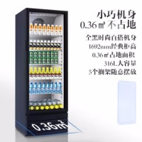 澳柯玛（AUCMA） 316升立式单门商用冷藏冰箱展示柜 超市饮料啤酒保鲜冷柜 冷饮茶叶陈列冰柜 SC-316NE