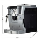 德龙（Delonghi）咖啡机 全自动咖啡机 欧洲原装进口 家用 自带打奶泡系统 ECAM22.110.SB 银色