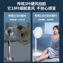 先锋(Singfun)轻奢风系列遥控电风扇落地扇摇头定时流通空气循环扇小米白色DLD-D15空调伴侣扇