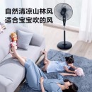 艾美特(Airmate) 五叶家用电风扇大风量摇头落地扇轻音节能轻音定时风扇立式风扇 FSW65T2-5