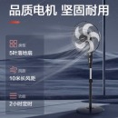 艾美特(Airmate) 五叶家用电风扇大风量摇头落地扇轻音节能轻音定时风扇立式风扇 FSW65T2-5