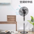 美菱（MeiLing）电风扇/落地扇 五扇四档加强风扇 定时风扇 FS-40A