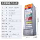 澳柯玛（AUCMA） 227升立式单门商用冷藏冰箱展示柜 超市饮料啤酒保鲜冷柜 冷饮茶叶陈列冰柜 SC-237