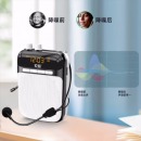 索爱（soaiy)S-318防啸叫小蜜蜂扩音器麦克风蓝牙教师专用喇叭导游导购音箱便携讲课扩音机睿智黑
