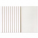 得力（deli）3865 热熔封套热熔胶套 热熔装订机专用装订封皮 A4/3mm