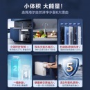 海尔（Haier）自然湃家用净水器1000G 厨下RO反渗透过滤直饮水纯水机 双出水无双酚