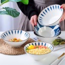 家家康 斗笠碗面碗拉面碗大碗
