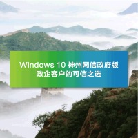 Windows 10 神州网信政府版