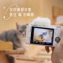 索尼（SONY）ZV-E10 Vlog微单数码相机 APS-C画幅小巧便携 4K专业视频 黑色