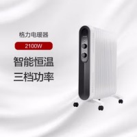 格力（GREE）取暖器 /电暖器/电暖气片家用 13片低躁速热电热油汀 NDY18-X6121