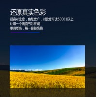 强力巨彩 LED显示屏 室内Q1.8 H-43S
