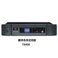 TDS 音箱 TS400