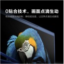 领效/MAXHUB 液晶显示器 65寸 TF65MA