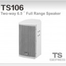 TDS 音箱 TS106