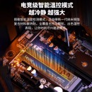 雷克沙（Lexar） 1TB SSD固态硬盘 M.2接口 NVMe协议（PCIe 4.0x4）NM800PRO 电竞游戏 畅快体验