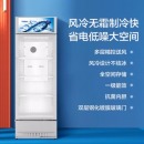 海尔（Haier） 280升风冷无霜立式展示柜冰柜 饮料冷藏柜商用保鲜柜冷柜SC-288DS