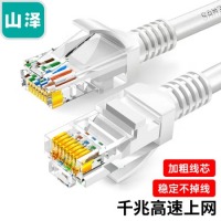 山泽(SAMZHE)超五类网线 CAT5e类高速千兆网线 30米 工程/宽带电脑家用连接跳线 成品网线 贝吉色 ZW-30