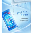 维达（HWM）湿巾湿纸巾 去菌湿巾80片/包*12包/箱 vw1028