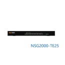 奇安信防火墙NSG2000-TE25P