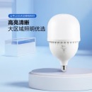 雷士（NVC）LED灯泡球泡节能灯柱泡家用商用照明灯光源60瓦白光